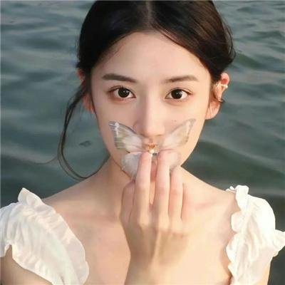 沉默的宫殿